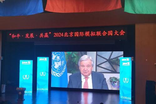 模拟联合国视频,青少年外交官的实战演练与全球视野拓展