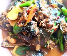 红烧甲鱼的做法视频