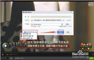 怎么下载网络视频,网络视频下载全攻略